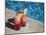 Colourful Cocktails by the Pool, Punta Cana, Dominican Republic, West Indies, Caribbean, Central Am-Frank Fell-Mounted Photographic Print