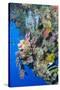 Colourful, Coral Covered Reef Wall at Osprey Reef, Longfin Banner Fish (Heniochus Acuminatus)-Louise Murray-Stretched Canvas