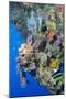 Colourful, Coral Covered Reef Wall at Osprey Reef, Longfin Banner Fish (Heniochus Acuminatus)-Louise Murray-Mounted Photographic Print