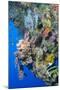 Colourful, Coral Covered Reef Wall at Osprey Reef, Longfin Banner Fish (Heniochus Acuminatus)-Louise Murray-Mounted Photographic Print