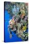 Colourful, Coral Covered Reef Wall at Osprey Reef, Longfin Banner Fish (Heniochus Acuminatus)-Louise Murray-Stretched Canvas