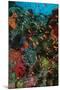 Colourful Coral Scene Underwater-null-Mounted Photographic Print