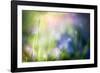 Colourful Dew-Ursula Abresch-Framed Photographic Print