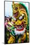 Colourful Dressed Masked Man in the Carneval (Carnival) in Santo Domingo-Michael Runkel-Mounted Photographic Print