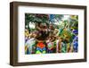 Colourful Dressed Participants in the Carneval (Carnival) in Santo Domingo-Michael Runkel-Framed Photographic Print