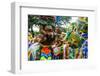 Colourful Dressed Participants in the Carneval (Carnival) in Santo Domingo-Michael Runkel-Framed Photographic Print