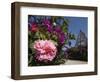 Colourful Flowers and Church in the Pastaza River Valley, Near Banos, Ambato Province, Ecuador-Robert Francis-Framed Photographic Print