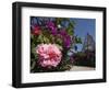 Colourful Flowers and Church in the Pastaza River Valley, Near Banos, Ambato Province, Ecuador-Robert Francis-Framed Photographic Print