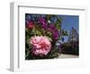 Colourful Flowers and Church in the Pastaza River Valley, Near Banos, Ambato Province, Ecuador-Robert Francis-Framed Photographic Print