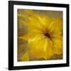 Colourful Flowers I-Bridges-Framed Giclee Print