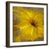 Colourful Flowers I-Bridges-Framed Giclee Print