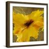 Colourful Flowers II-Bridges-Framed Giclee Print