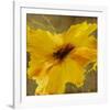 Colourful Flowers II-Bridges-Framed Photographic Print