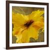 Colourful Flowers II-Bridges-Framed Photographic Print