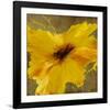 Colourful Flowers II-Bridges-Framed Photographic Print