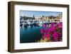 Colourful Flowers in the Harbour of Los Cabos, Baja California, Mexico, North America-Michael Runkel-Framed Photographic Print