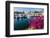 Colourful Flowers in the Harbour of Los Cabos, Baja California, Mexico, North America-Michael Runkel-Framed Photographic Print