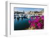 Colourful Flowers in the Harbour of Los Cabos, Baja California, Mexico, North America-Michael Runkel-Framed Photographic Print