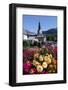 Colourful flowers in the village of Saint Gervais les Bains in the French Alps, Haute-Savoie-Godong-Framed Photographic Print