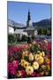 Colourful flowers in the village of Saint Gervais les Bains in the French Alps, Haute-Savoie-Godong-Mounted Photographic Print