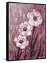 Colourful Flowers-James Zheng-Framed Stretched Canvas