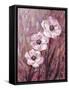 Colourful Flowers-James Zheng-Framed Stretched Canvas