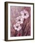 Colourful Flowers-James Zheng-Framed Art Print