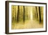 Colourful Foliage on a Footpath Through Deciduous Forest in Autumn, Abstract Study [M-Andreas Vitting-Framed Photographic Print