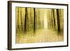 Colourful Foliage on a Footpath Through Deciduous Forest in Autumn, Abstract Study [M-Andreas Vitting-Framed Photographic Print