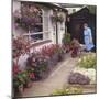 Colourful Garden-null-Mounted Photographic Print