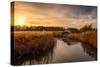 Colourful Golden Hour Sunset over Thatched Boat House-Steve Docwra-Stretched Canvas