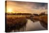 Colourful Golden Hour Sunset over Thatched Boat House-Steve Docwra-Stretched Canvas