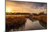 Colourful Golden Hour Sunset over Thatched Boat House-Steve Docwra-Mounted Photographic Print