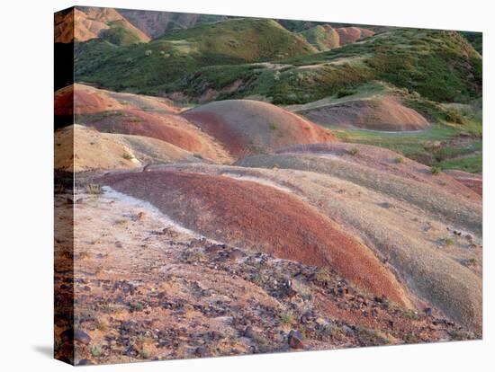 Colourful Hills Along the Border Region to Azerbaijan, David Gareji Nature Reserve, Georgia-Popp-Stretched Canvas