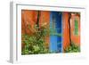 Colourful House, Assos, Kefalonia, Greece-Peter Thompson-Framed Premium Photographic Print