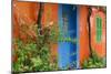 Colourful House, Assos, Kefalonia, Greece-Peter Thompson-Mounted Photographic Print