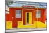 Colourful house on Bay Street, Bridgetown, St. Michael, Barbados, West Indies, Caribbean, Central A-Frank Fell-Mounted Photographic Print