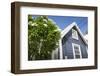 Colourful houses, Holetown, St. James, Barbados, West Indies, Caribbean, Central America-Frank Fell-Framed Photographic Print