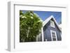 Colourful houses, Holetown, St. James, Barbados, West Indies, Caribbean, Central America-Frank Fell-Framed Photographic Print