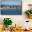 Colourful houses, Stanley, capital of the Falkland Islands, South America-Michael Runkel-Framed Stretched Canvas displayed on a wall