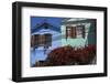 Colourful Houses, Valparaiso, Chile-Peter Groenendijk-Framed Photographic Print