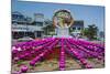 Colourful Lanterns around the King Seong Statue, Buyeo, South Korea, Asia-Michael-Mounted Photographic Print