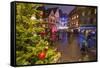 Colourful lights on Christmas trees and ornaments at dusk, Colmar, Haut-Rhin department, Alsace, Fr-Roberto Moiola-Framed Stretched Canvas