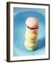 Colourful Macarons (Small French Cakes)-Isabelle Rozenbaum-Framed Photographic Print