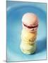 Colourful Macarons (Small French Cakes)-Isabelle Rozenbaum-Mounted Photographic Print