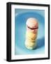 Colourful Macarons (Small French Cakes)-Isabelle Rozenbaum-Framed Photographic Print