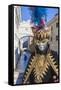 Colourful mask and costume of Carnival of Venice, Venice, Veneto, Italy, Europe-Roberto Moiola-Framed Stretched Canvas