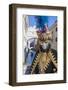 Colourful mask and costume of Carnival of Venice, Venice, Veneto, Italy, Europe-Roberto Moiola-Framed Photographic Print