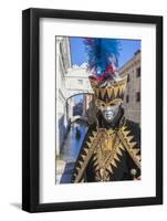 Colourful mask and costume of Carnival of Venice, Venice, Veneto, Italy, Europe-Roberto Moiola-Framed Photographic Print