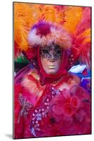 Colourful mask and costume of the Carnival of Venice, famous festival worldwide, Venice, Veneto, It-Roberto Moiola-Mounted Photographic Print